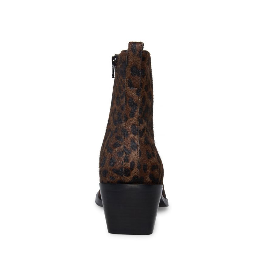 Botines Steve Madden Richie Hombre Leopardo | ES ZT4S81